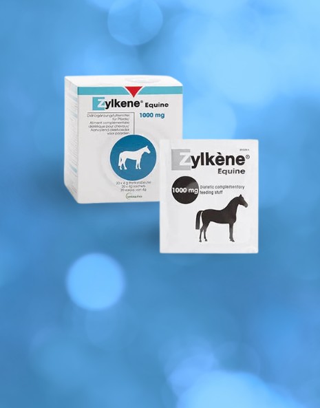 Zylkène Equine