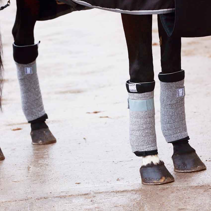 Bande de repos cheval et stable boots : tout savoir