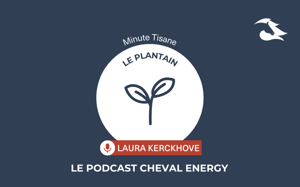 Épisode 57 : Minute Tisane : Le Plantain