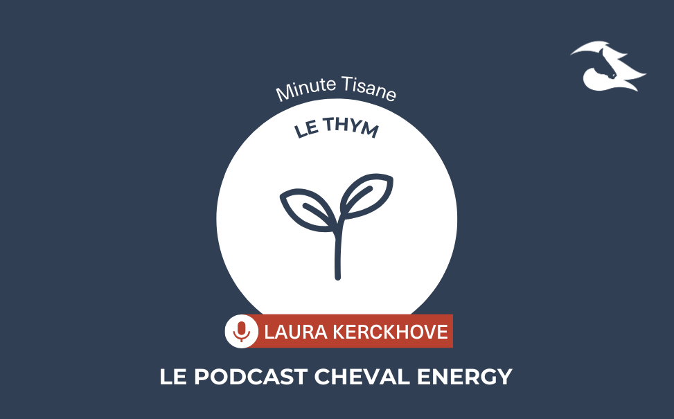 Épisode 56 : Minute Tisane : Le Thym