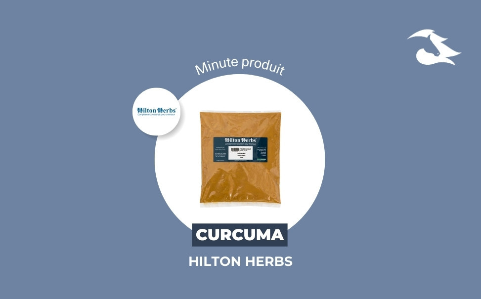 La Minute Produit - Le Curcuma Hilton Herbs