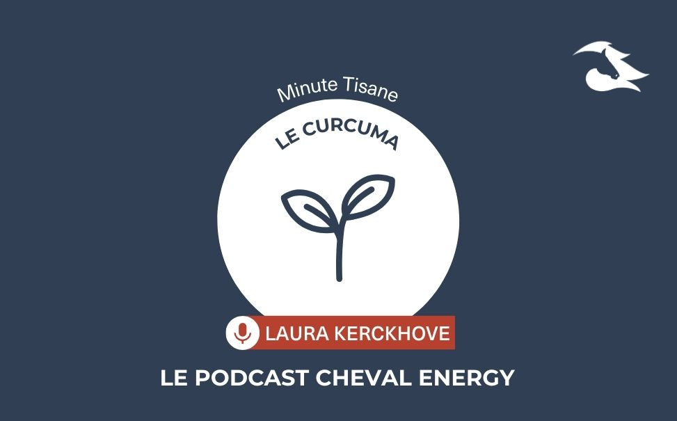 Episode 27 : Minute Tisane - Le Curcuma