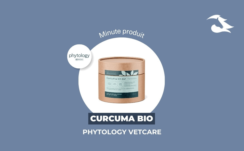 La Minute Produit - Le Curcuma Phytology VetCare pour cheval