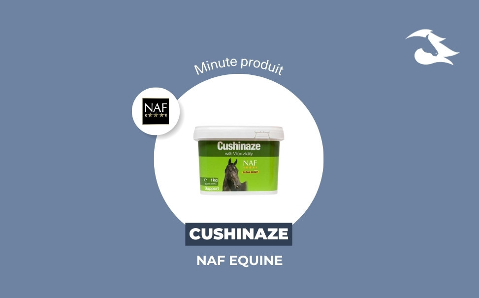 La Minute Produit : Cushinaze de NAF