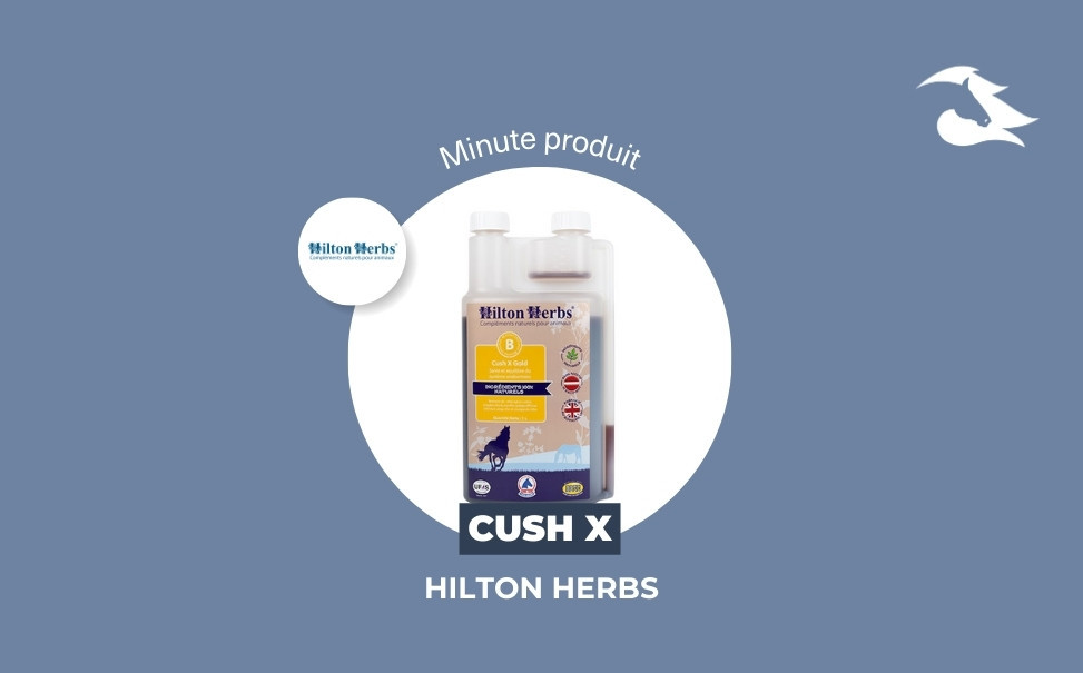 La Minute Produit : Cush X de Hilton Herbs