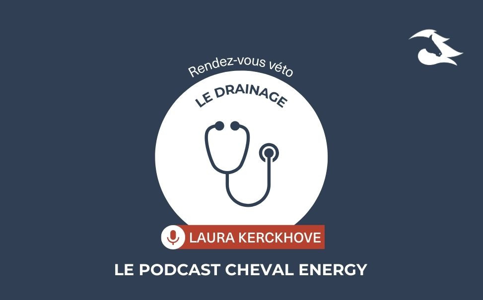 Episode 29 : Rendez-vous Véto - le Drainage