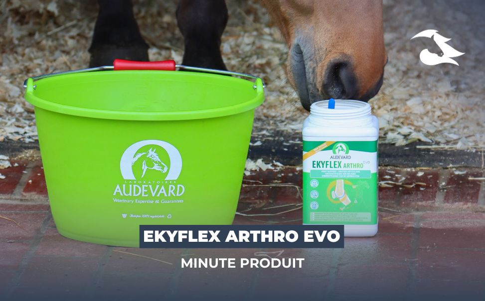 Ekyflex Arthro Evo, notre avis