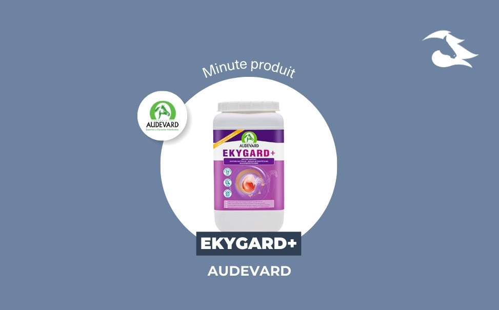 La Minute Produit - Ekygard Audevard contre l'ulcère du cheval