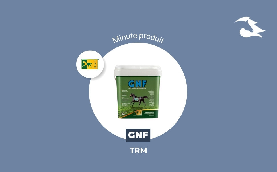 La Minute Produit - GNF TRM contre l'ulcère du cheval