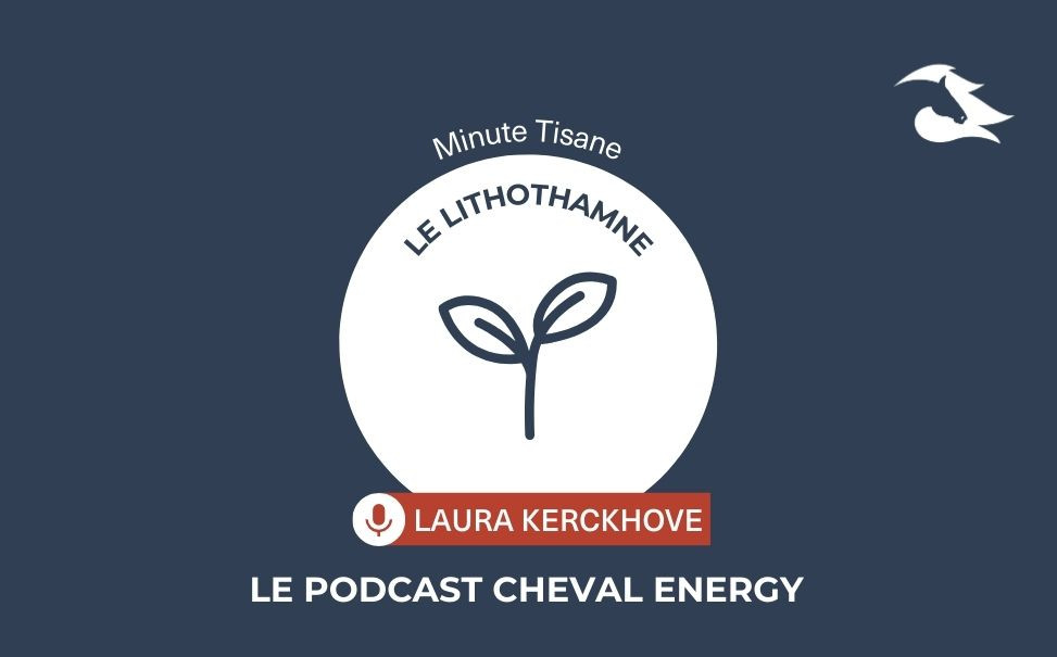 Episode 21 : La Minute Tisane – Le Lithothamne