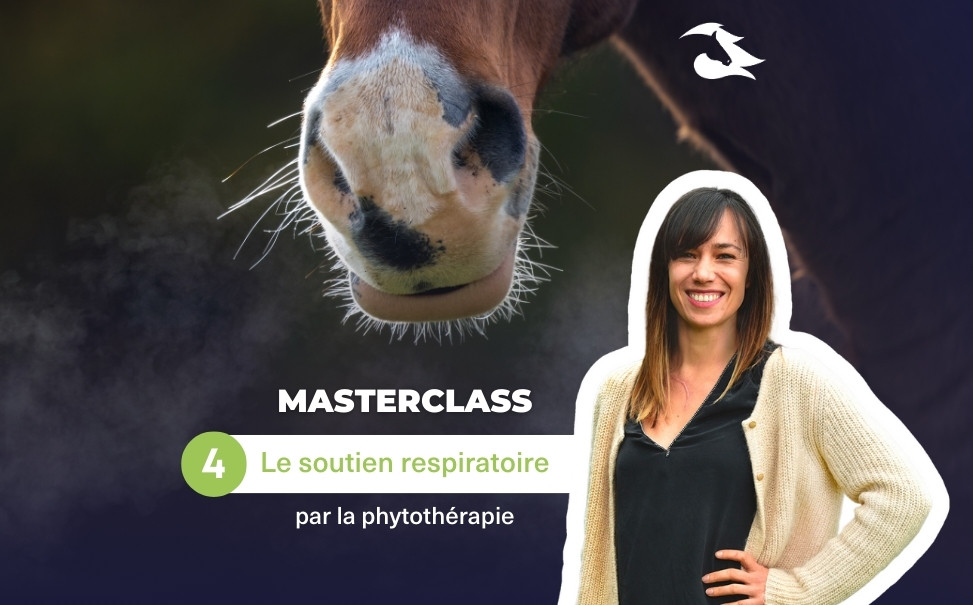 MasterClass 4 - Le soutien respiratoire par la phytothérapie