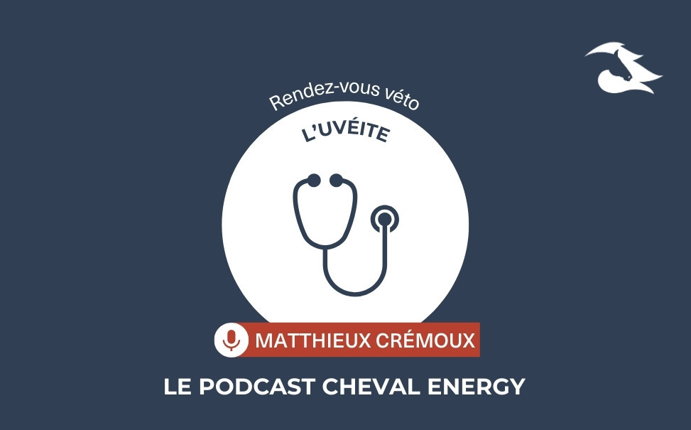 Episode 51 : Rendez-vous Véto - L'uvéïte